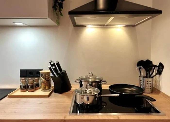 Soul-apartment Terrasse Privat-parkplatz Boxspringbett 55zoll Tv Wlan Apartman